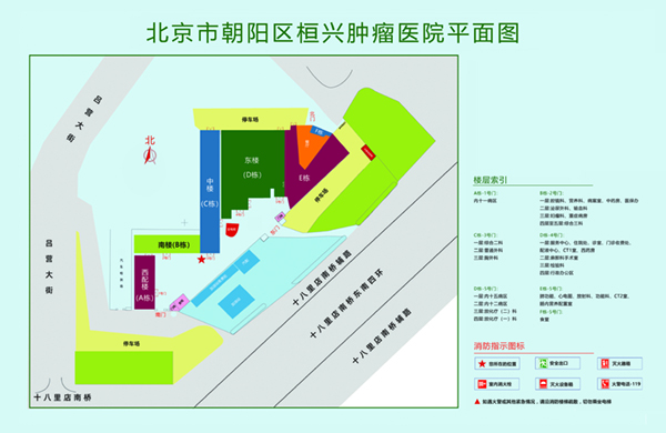 操骚逼我操你骚逼北京市朝阳区桓兴肿瘤医院平面图